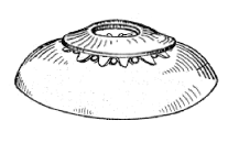 Coanda effect disk